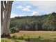 Lot 12 Mole Creek Road, Lowanna NSW 2450