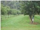 205 Central Bucca Road, Bucca NSW 2450