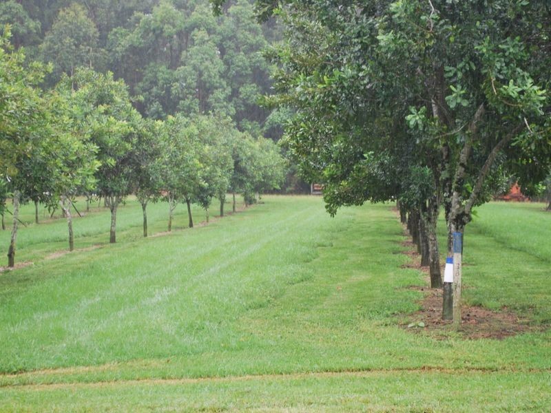 205 Central Bucca Road, Bucca NSW 2450