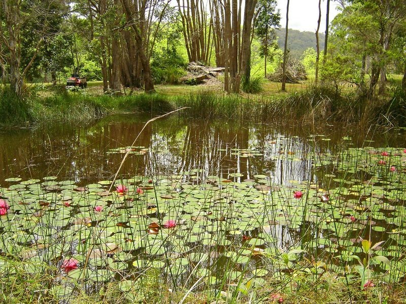 4 Greens Close, Glenreagh NSW 2450