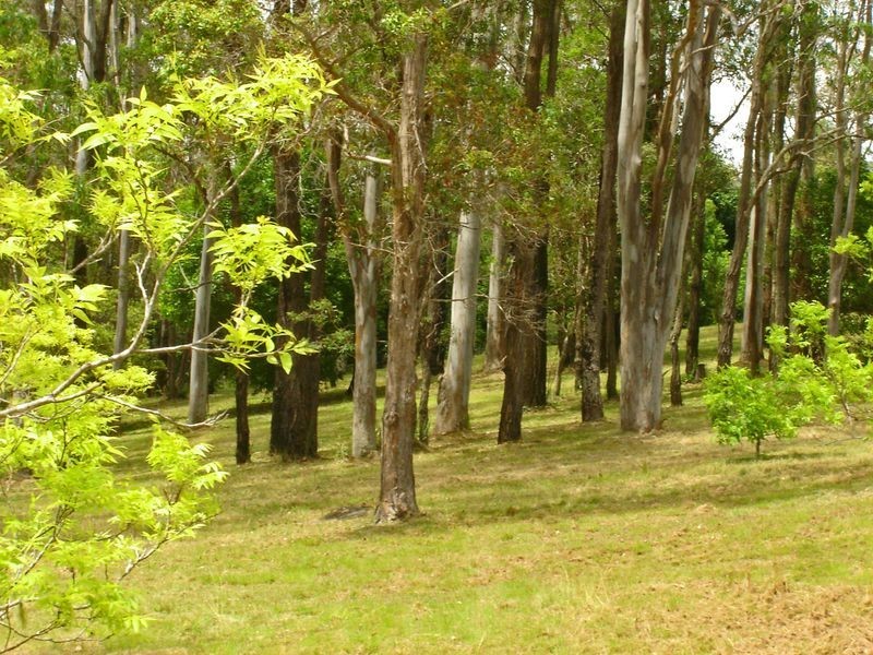 4 Greens Close, Glenreagh NSW 2450