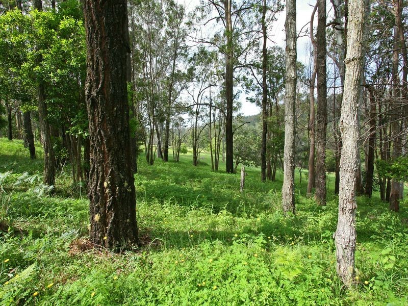 4 Greens Close, Glenreagh NSW 2450