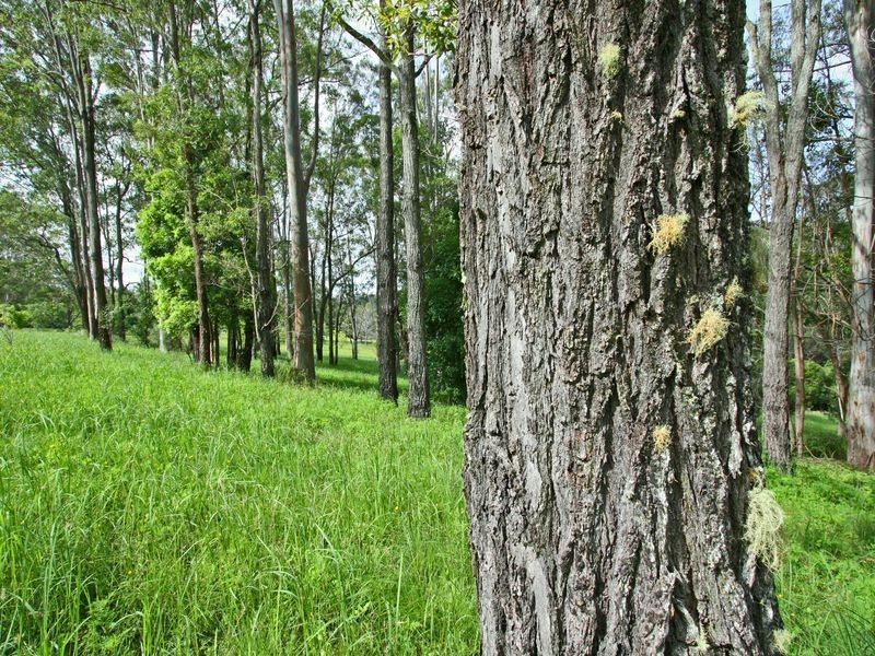 4 Greens Close, Glenreagh NSW 2450