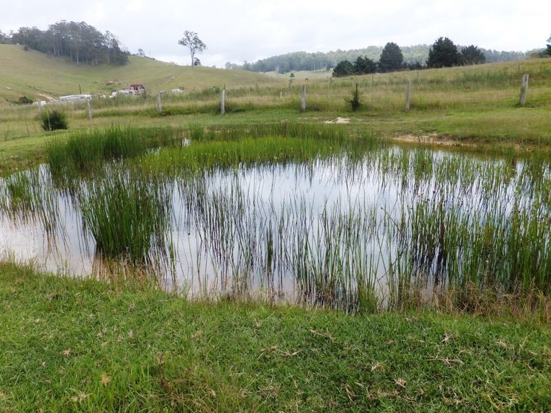 209 Camp Creek Road, Lowanna NSW 2450