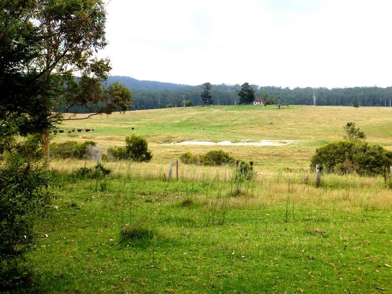 209 Camp Creek Road, Lowanna NSW 2450