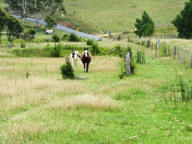 209 Camp Creek Road, Lowanna NSW 2450