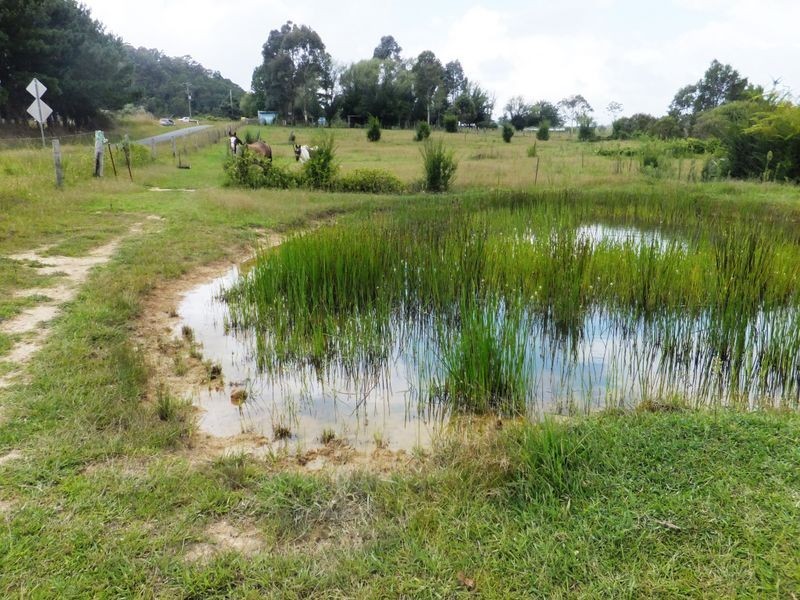 209 Camp Creek Road, Lowanna NSW 2450