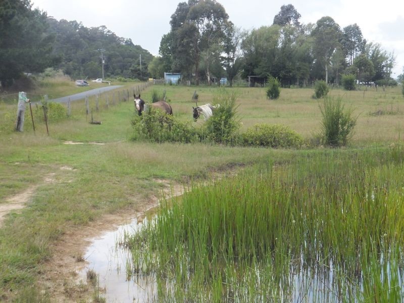 209 Camp Creek Road, Lowanna NSW 2450