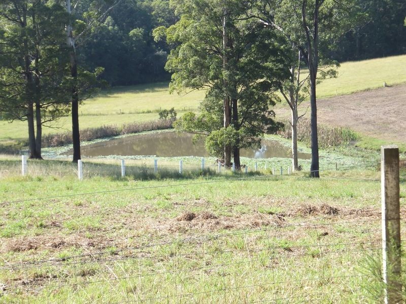 1301 Bucca Road, Nana Glen NSW 2450