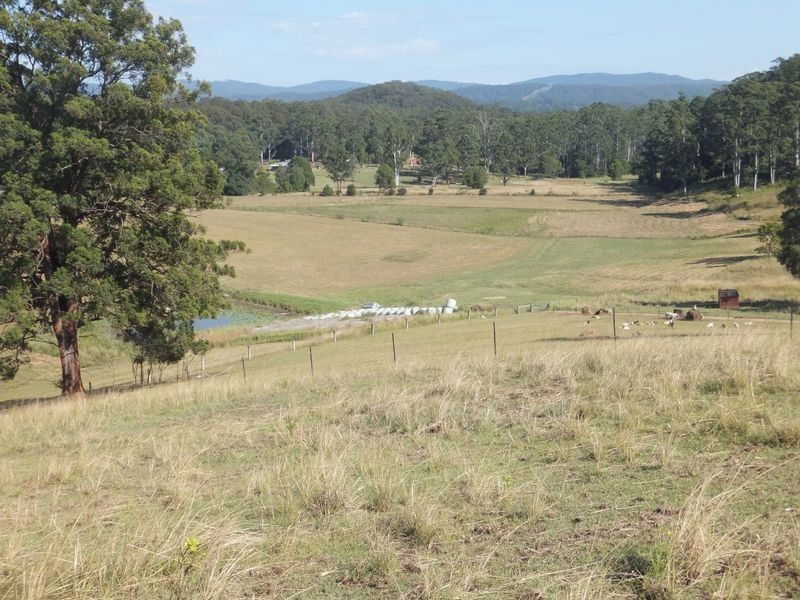 1301 Bucca Road, Nana Glen NSW 2450