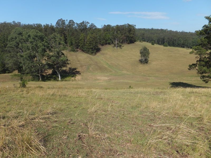 1301 Bucca Road, Nana Glen NSW 2450