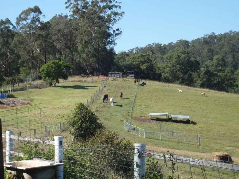 1301 Bucca Road, Nana Glen NSW 2450