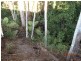2/105 Argyll Street,, Coffs Harbour NSW 2450