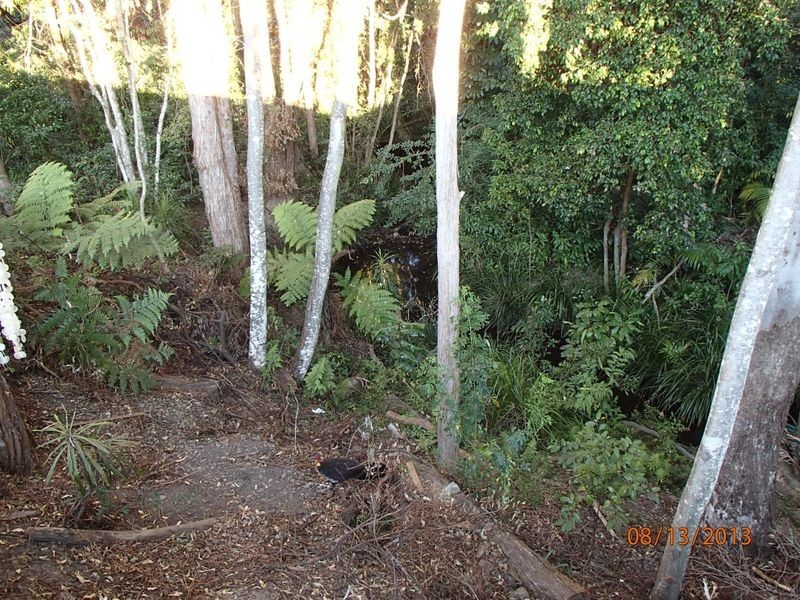 2/105 Argyll Street,, Coffs Harbour NSW 2450