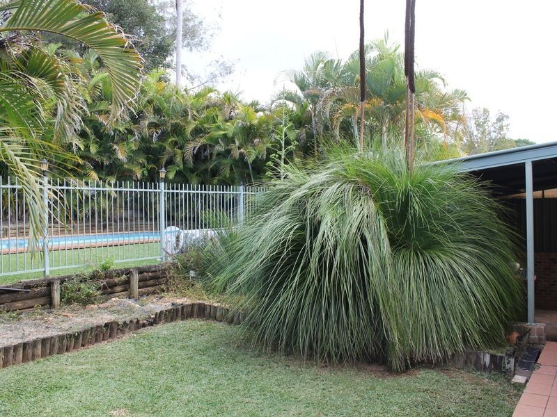 9 Raymond Close, Bellingen NSW 2454