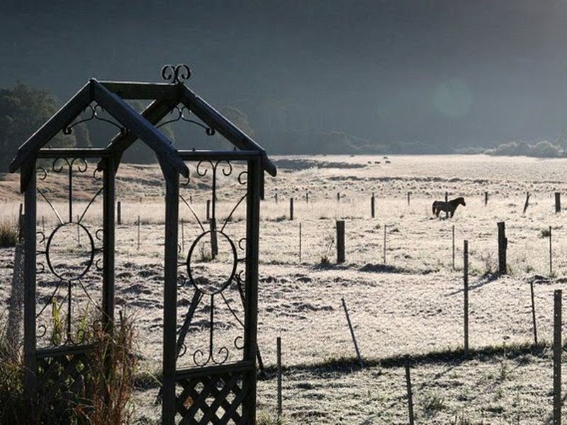 1870 Orara Way, Glenreagh NSW 2450