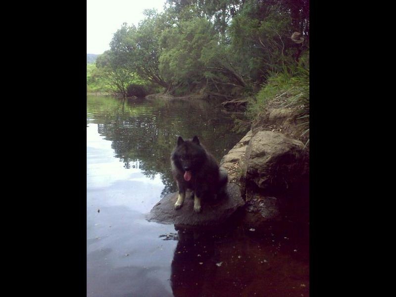 1870 Orara Way, Glenreagh NSW 2450