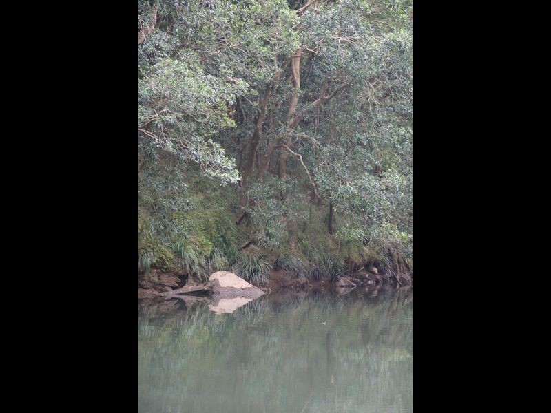 1870 Orara Way, Glenreagh NSW 2450