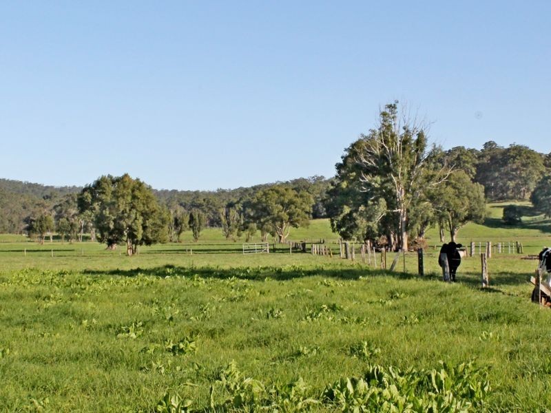 517 Waterfall Way, Fernmount NSW 2454