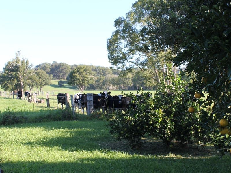 517 Waterfall Way, Fernmount NSW 2454