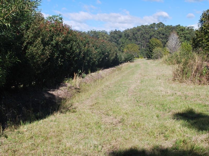 Lot 43 Overlander Road, Moonee Beach NSW 2450