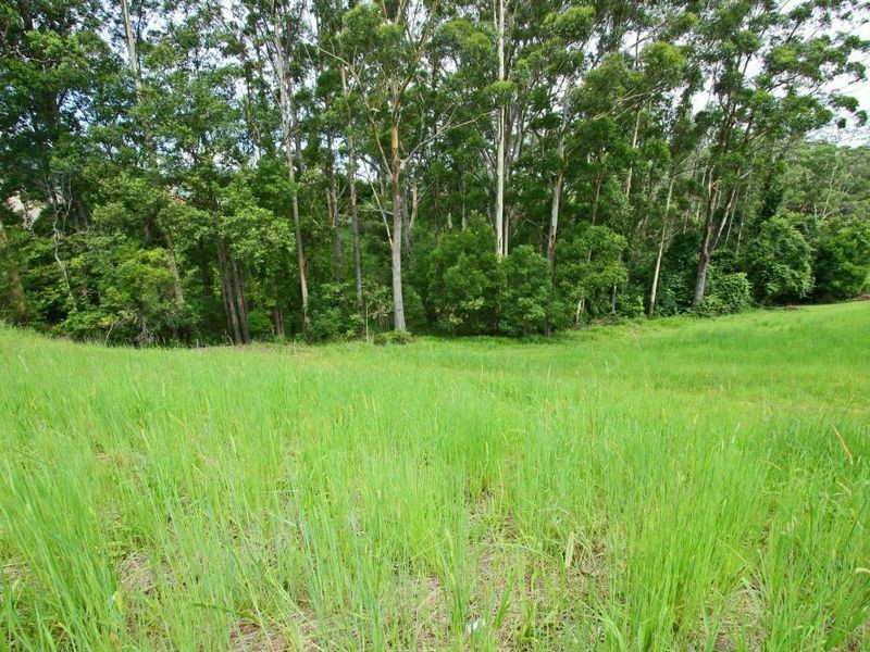 86 Roselands Drive, Coffs Harbour NSW 2450