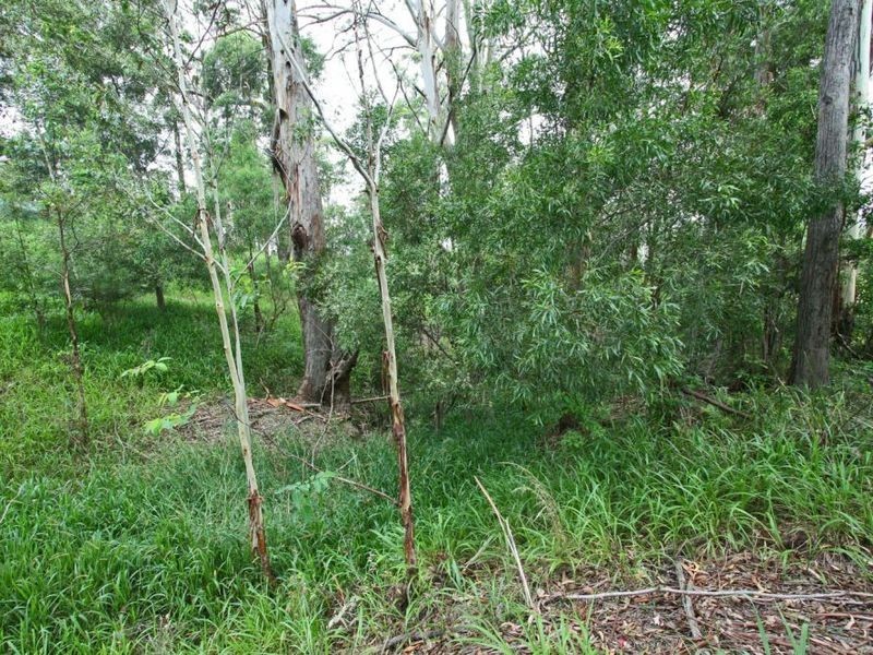 86 Roselands Drive, Coffs Harbour NSW 2450