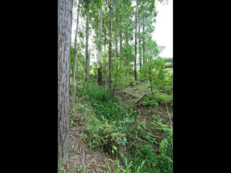 86 Roselands Drive, Coffs Harbour NSW 2450