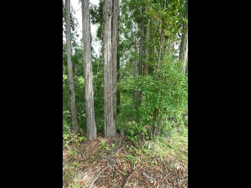 86 Roselands Drive, Coffs Harbour NSW 2450