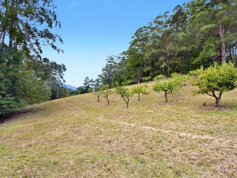 147 Upper Orara Road, Karangi NSW 2450