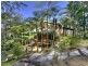 56 Forest Drive, Repton NSW 2454
