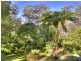 56 Forest Drive, Repton NSW 2454