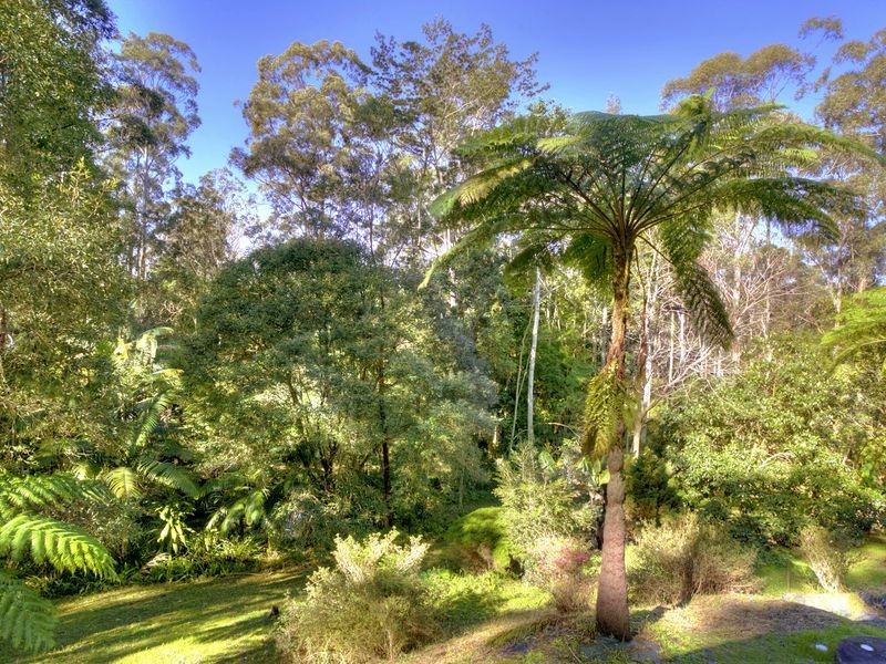 56 Forest Drive, Repton NSW 2454