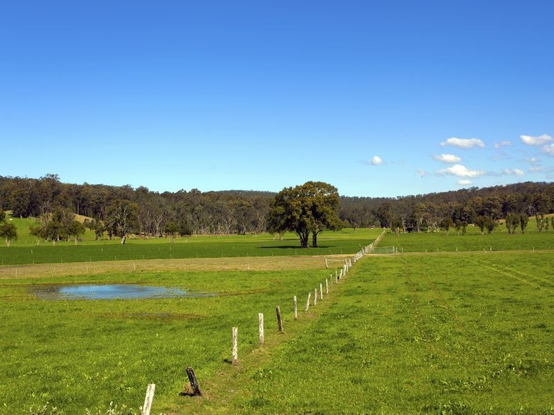 511 Waterfall Way, Fernmount NSW 2454