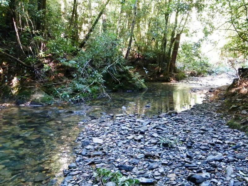 Lot 1 Eve Creek Road, Brooklana NSW 2450