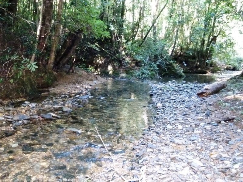 Lot 1 Eve Creek Road, Brooklana NSW 2450