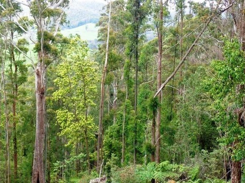 Lot 1 Eve Creek Road, Brooklana NSW 2450