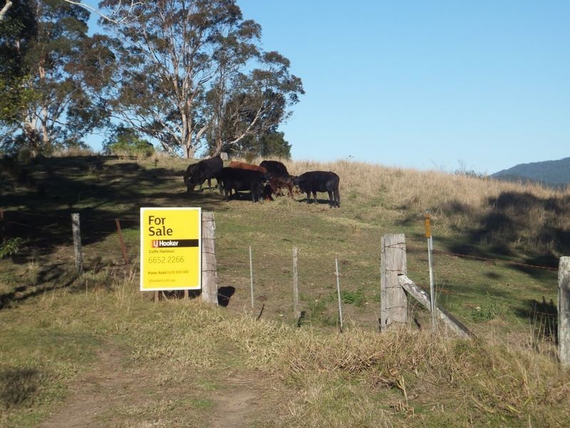 Lot 91 Battery Road, Nana Glen NSW 2450