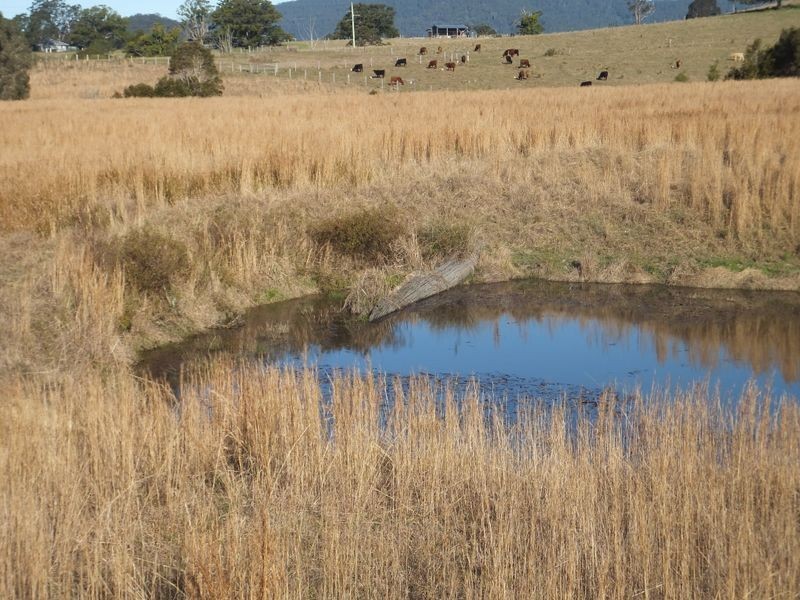 Lot 91 Battery Road, Nana Glen NSW 2450