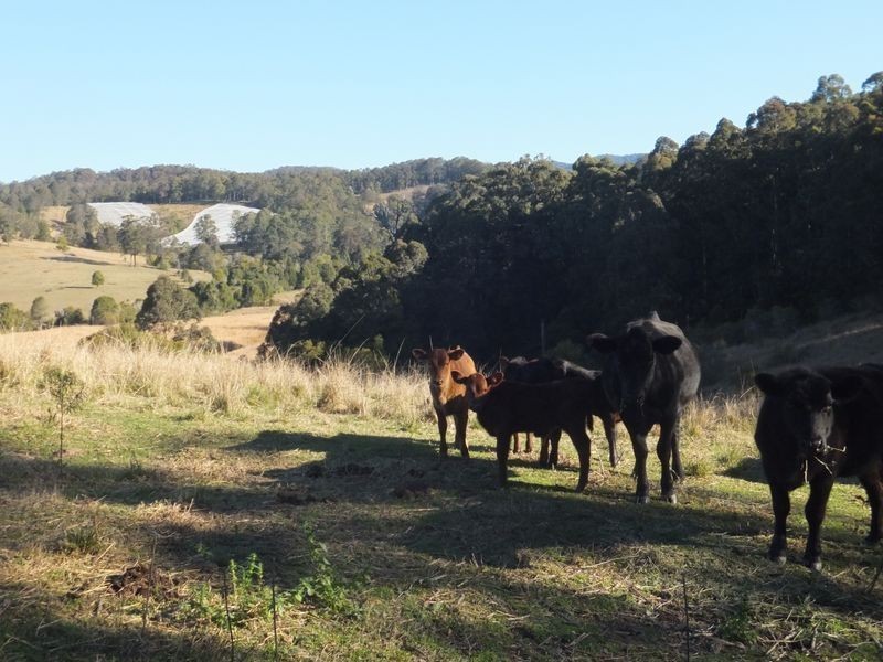 Lot 91 Battery Road, Nana Glen NSW 2450