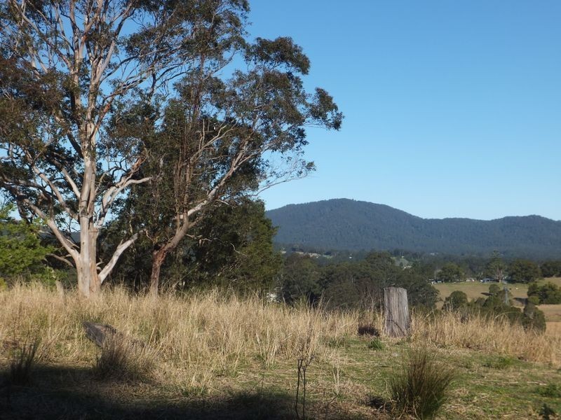 Lot 91 Battery Road, Nana Glen NSW 2450