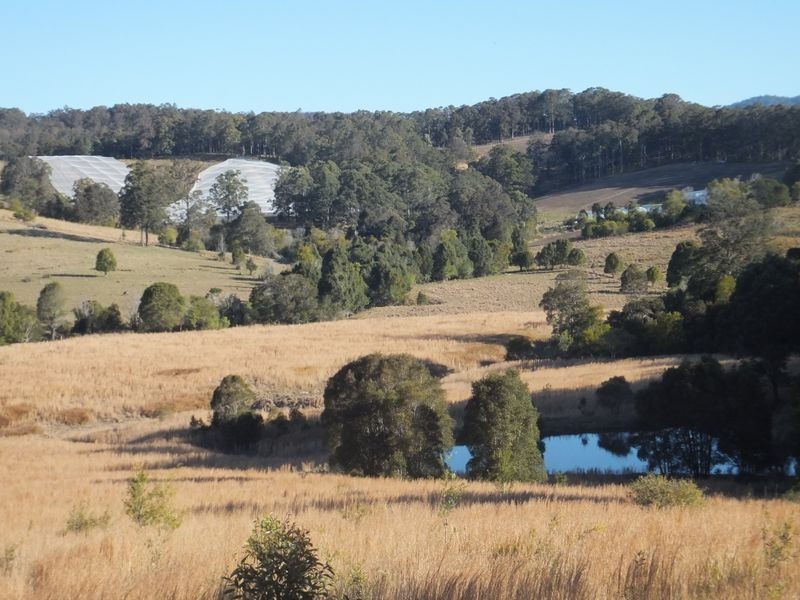 Lot 91 Battery Road, Nana Glen NSW 2450