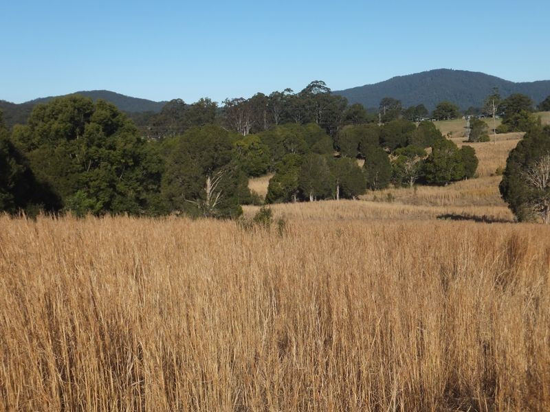 Lot 91 Battery Road, Nana Glen NSW 2450