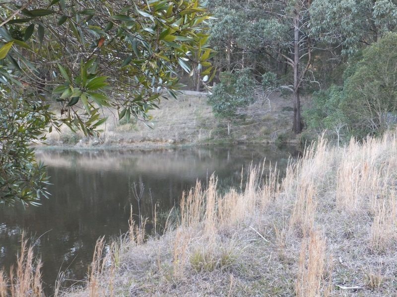 Lot 91 Battery Road, Nana Glen NSW 2450