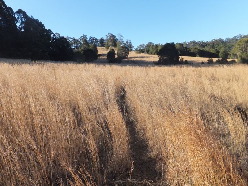 Lot 91 Battery Road, Nana Glen NSW 2450