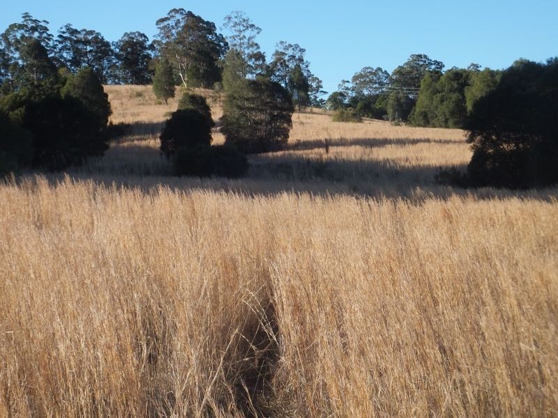 Lot 91 Battery Road, Nana Glen NSW 2450