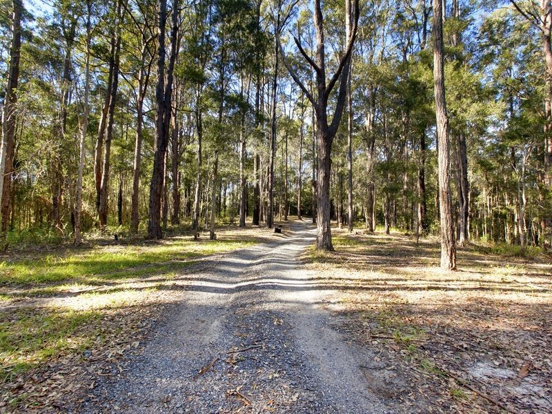 229 Shortcut Road, Raleigh NSW 2454