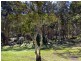 229 Shortcut Road, Raleigh NSW 2454