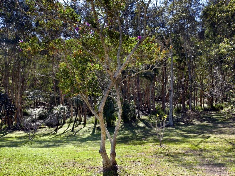 229 Shortcut Road, Raleigh NSW 2454