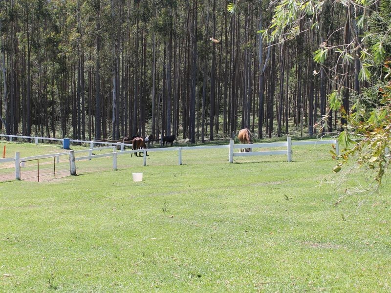 758 Valery Road, Valery NSW 2454